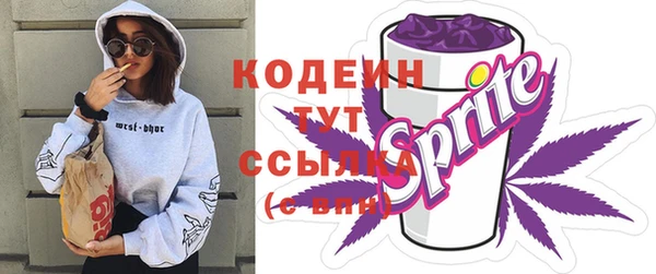 молекула духа Вязьма