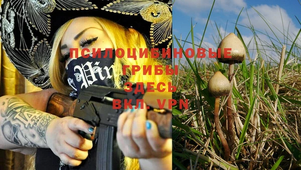 молекула духа Вязьма