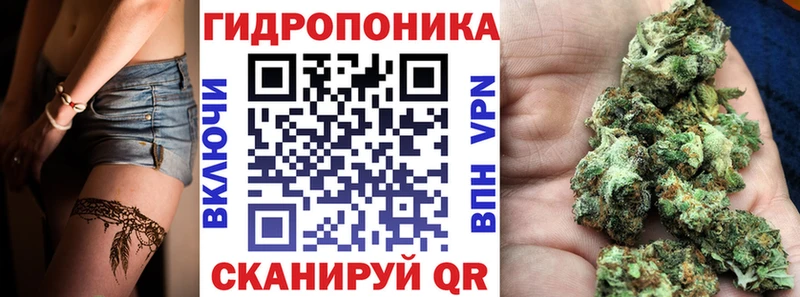 МАРИХУАНА LSD WEED  ссылка на мегу рабочий сайт  Жиздра 